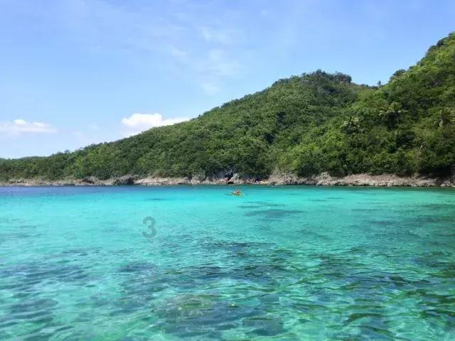 35岁以上的女人多吃“它”,能祛湿暖身,补血美颜,皮肤又滑又嫩